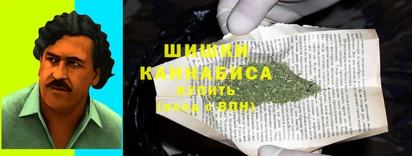 сатива Волосово