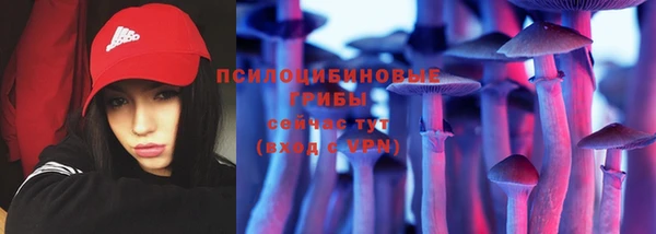сатива Волосово