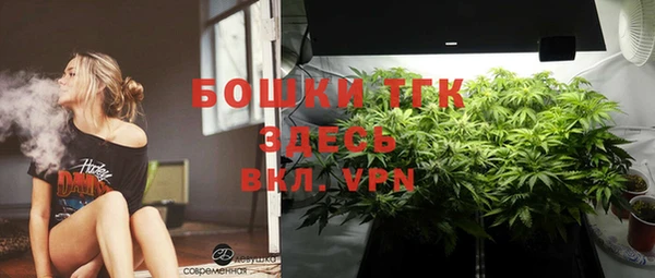 сатива Волосово