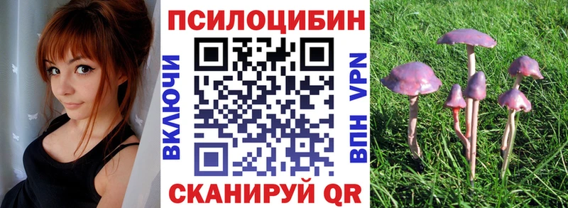 Псилоцибиновые грибы Psilocybe  Карачаевск 